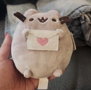 Valentine's pusheen